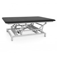 Bobath examination table